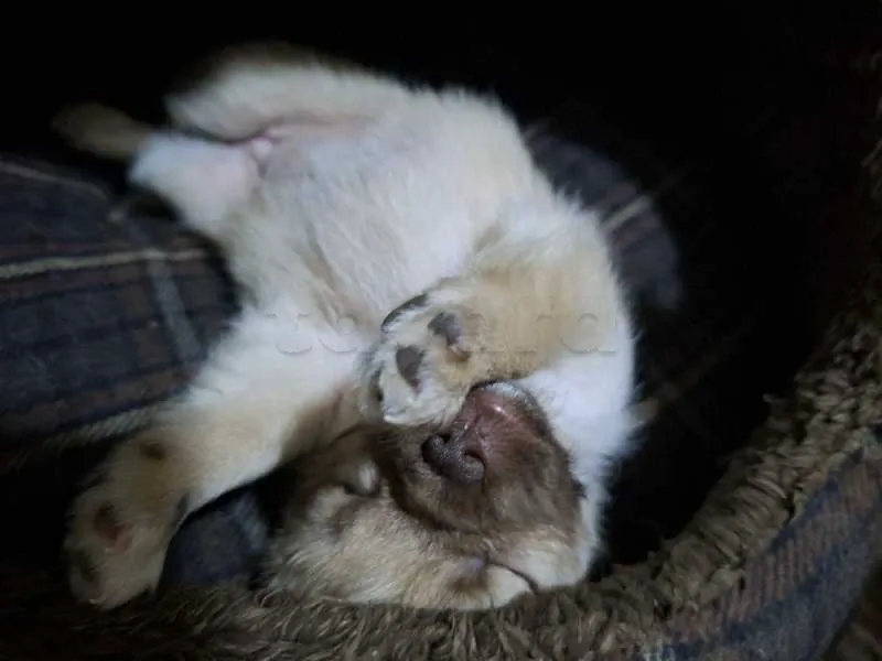 à vendre - Miniature 3