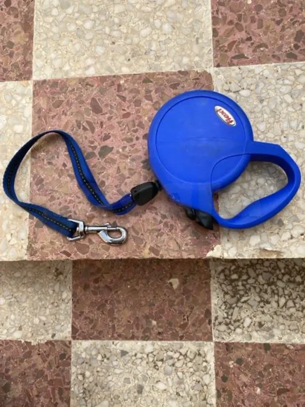 laisse pour grande chiens 🐕 neuf - Miniature 2