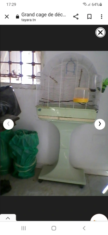 Grand cage de décoration mobile