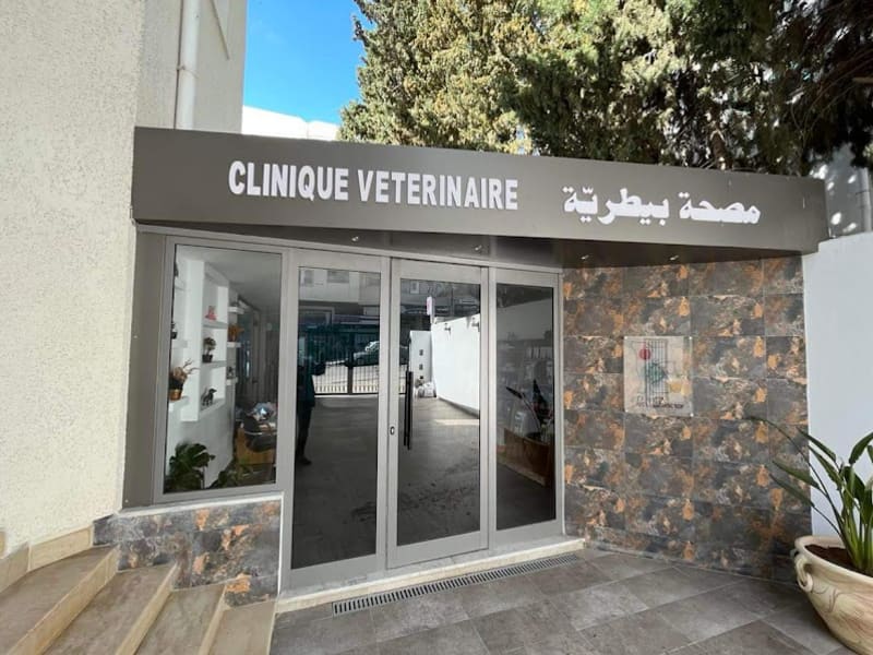 Clinique Vétérinaire Pets'Doctor - Ennasr 2