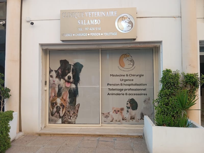 Clinique vétérinaire Salambo