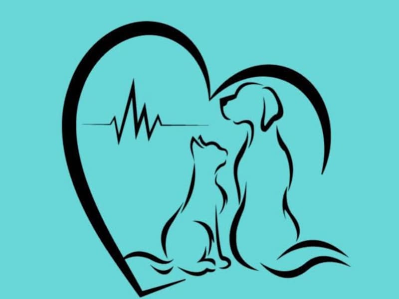 Vetcare la corniche Dr BEN FREDJ’S