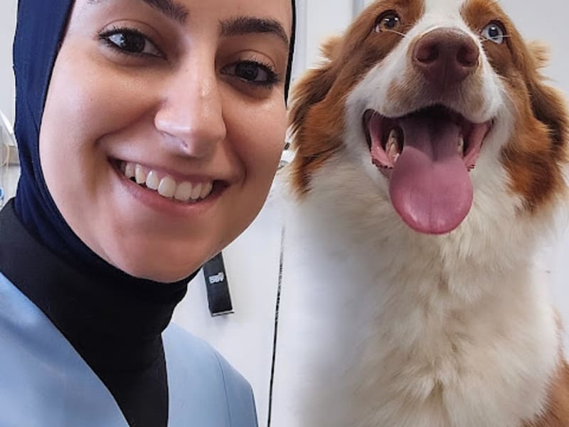 Clinique vétérinaire MaVeto Mahdia