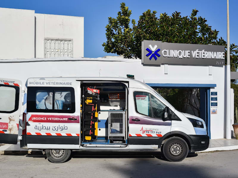 VETS Clinique vétérinaire La Marsa