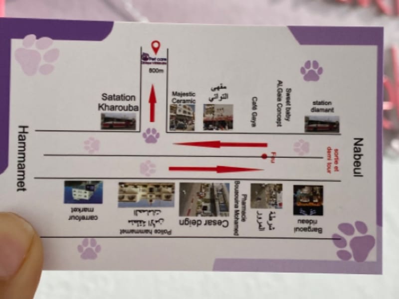 Pet care clinique vétérinaire