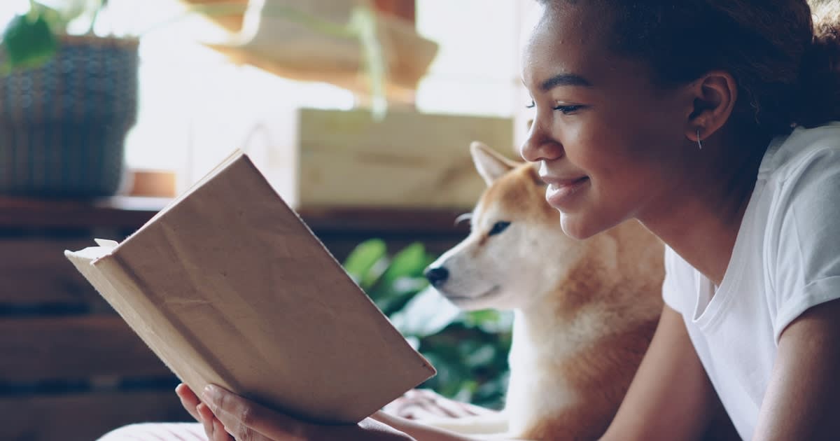 Assurance pour Animaux en Tunisie : Guide Complet des Meilleures Offres 2026