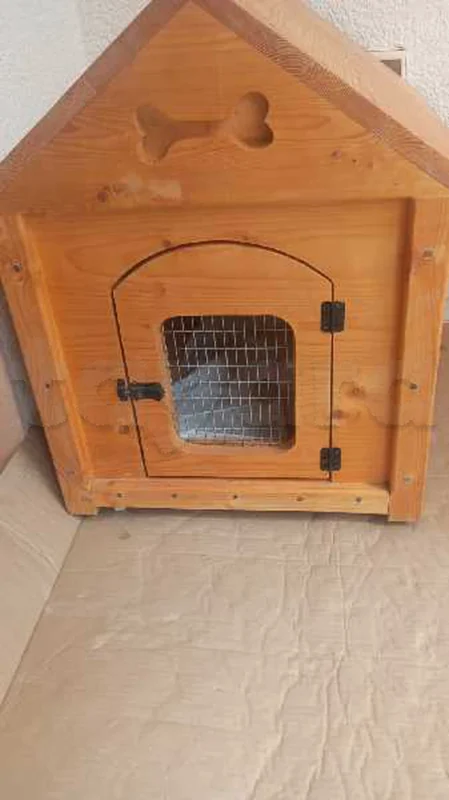 niche en bois pour chien et chat jamais utiliser