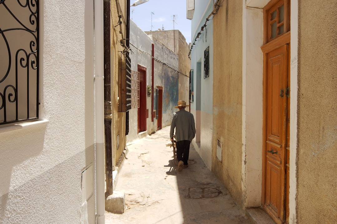 Berger Allemand Tunisie : Guide Complet de la Race Noble 2026