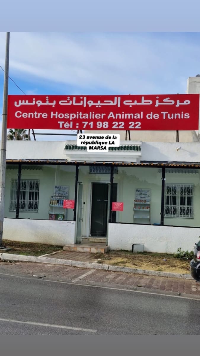 C.H.A.T - Centre Hospitalier Animal de Tunis - Photo 1