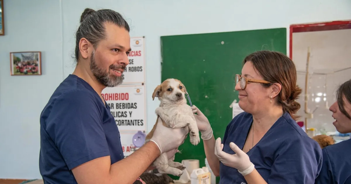 Vétérinaires en Tunisie: Le Guide Complet d'Animalia.tn