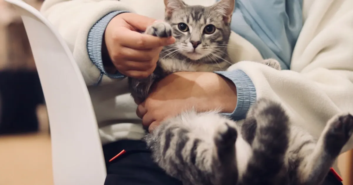 Clinique Vétérinaire Soukra : Le Guide Complet pour la Santé de Vos Animaux