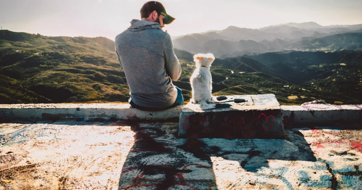 Animalerie Tunisie : Votre Guide Complet pour Animaux de Compagnie