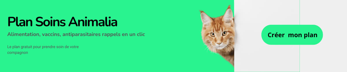 Plan Soins Animalia - Calculateur nutritionnel gratuit