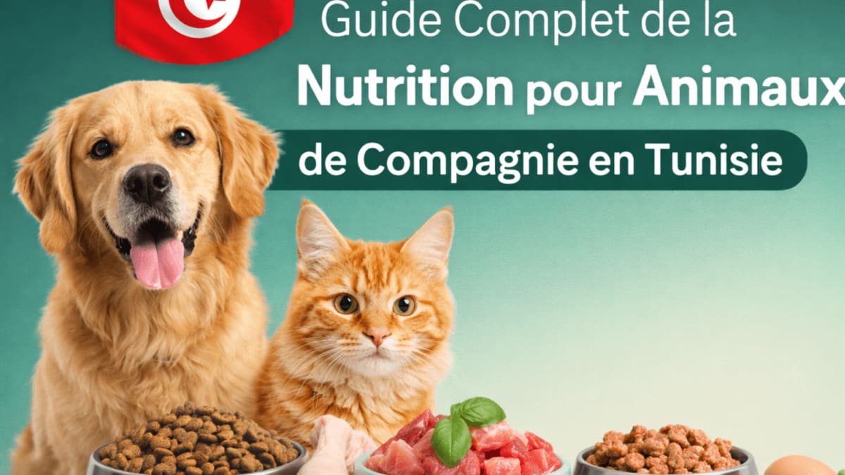 Guide Complet de la Nutrition pour Animaux de Compagnie en Tunisie