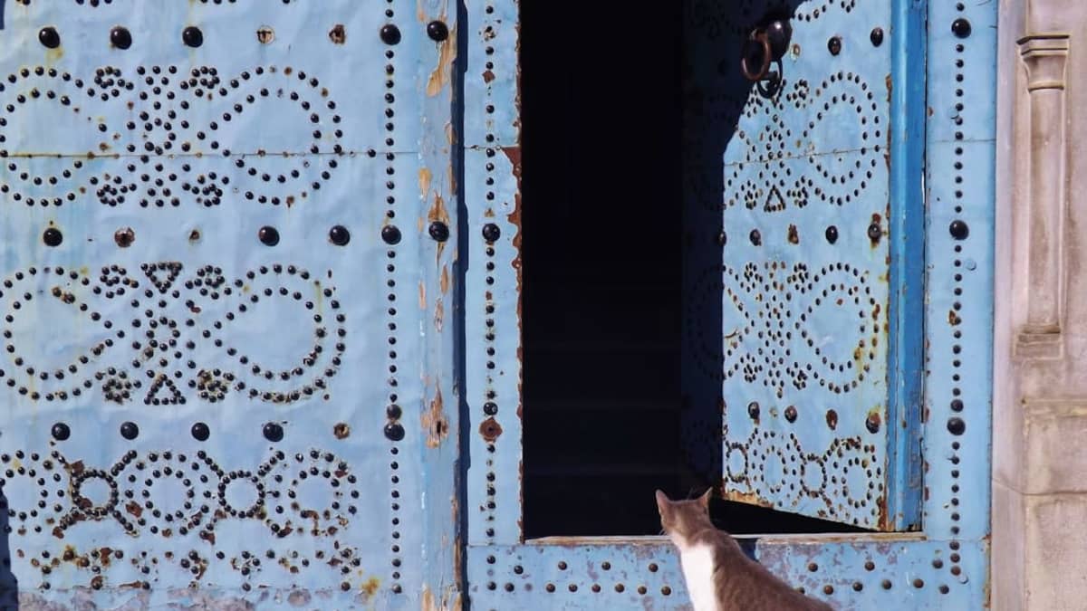 Élevage de Chien en Tunisie : Guide Professionnel Complet 2026