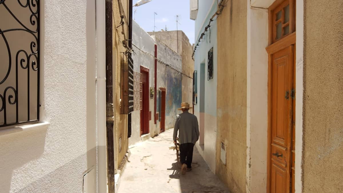 Berger Allemand Tunisie : Guide Complet de la Race Noble 2026
