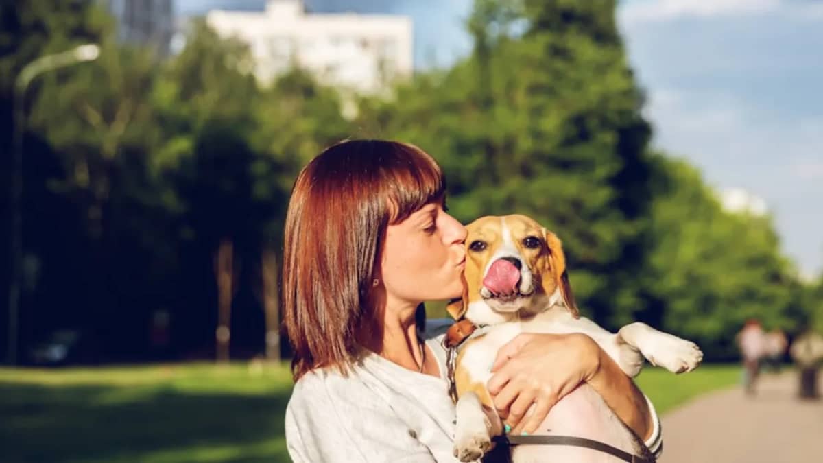 Animalia.tn : La Référence pour votre Boutique Vente Animaux Tunisie