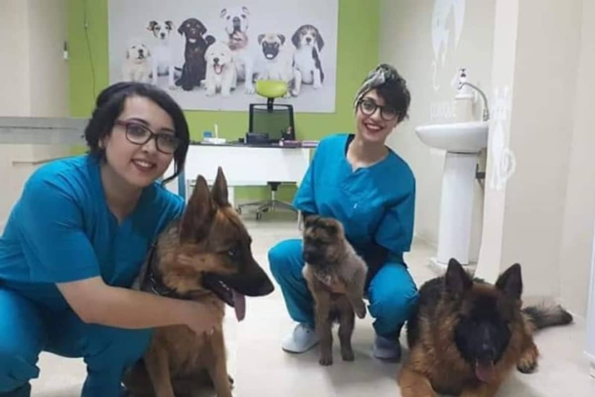 Clinique Vétérinaire Bardo 1 - Dr Amira Ben Zdira