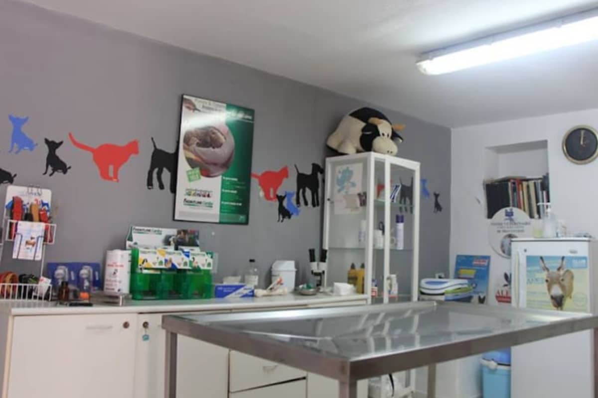 مصحة بيطرية النصر 1