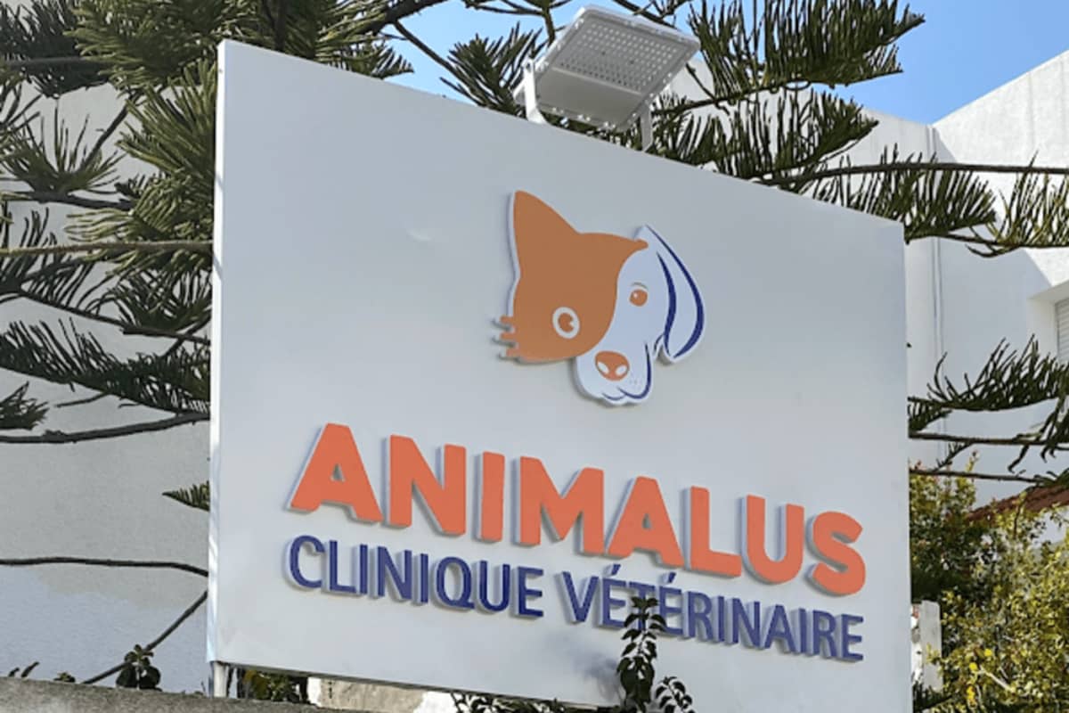 Animalus Veterinary Clinic