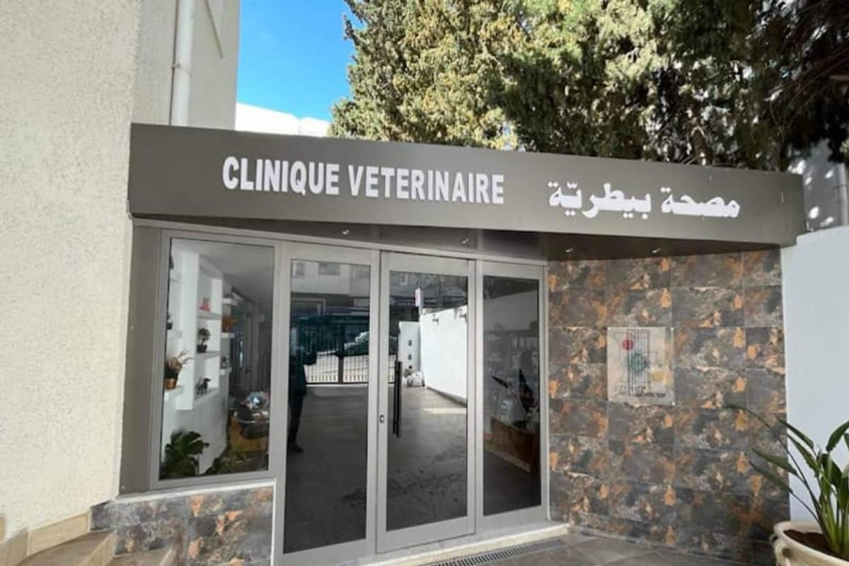 Clinique Vétérinaire Pets'Doctor - Ennasr 2