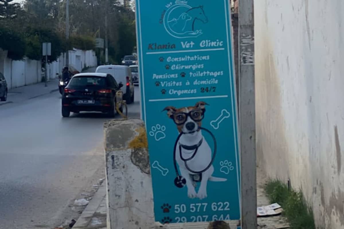 Clinique vétérinaire Klania Vet La Soukra - Dr Inèss Hanchi