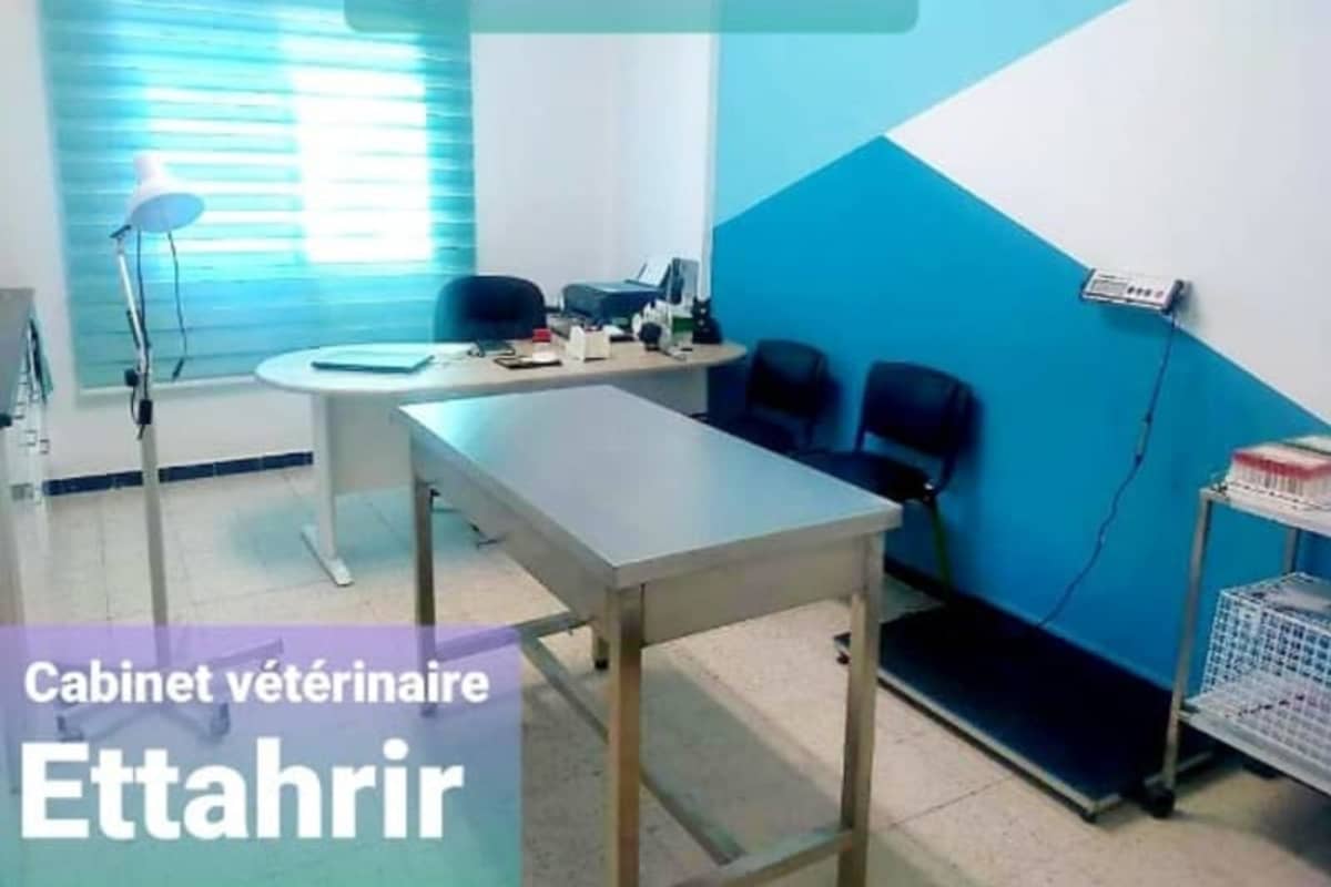 Cabinet Vétérinaire Ettahrir Dr. Amina OBBI