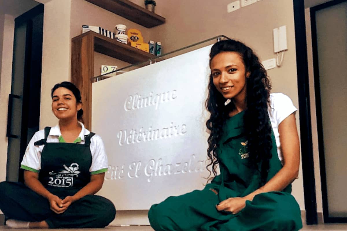 Clinique Vétérinaire Cité El Ghazela