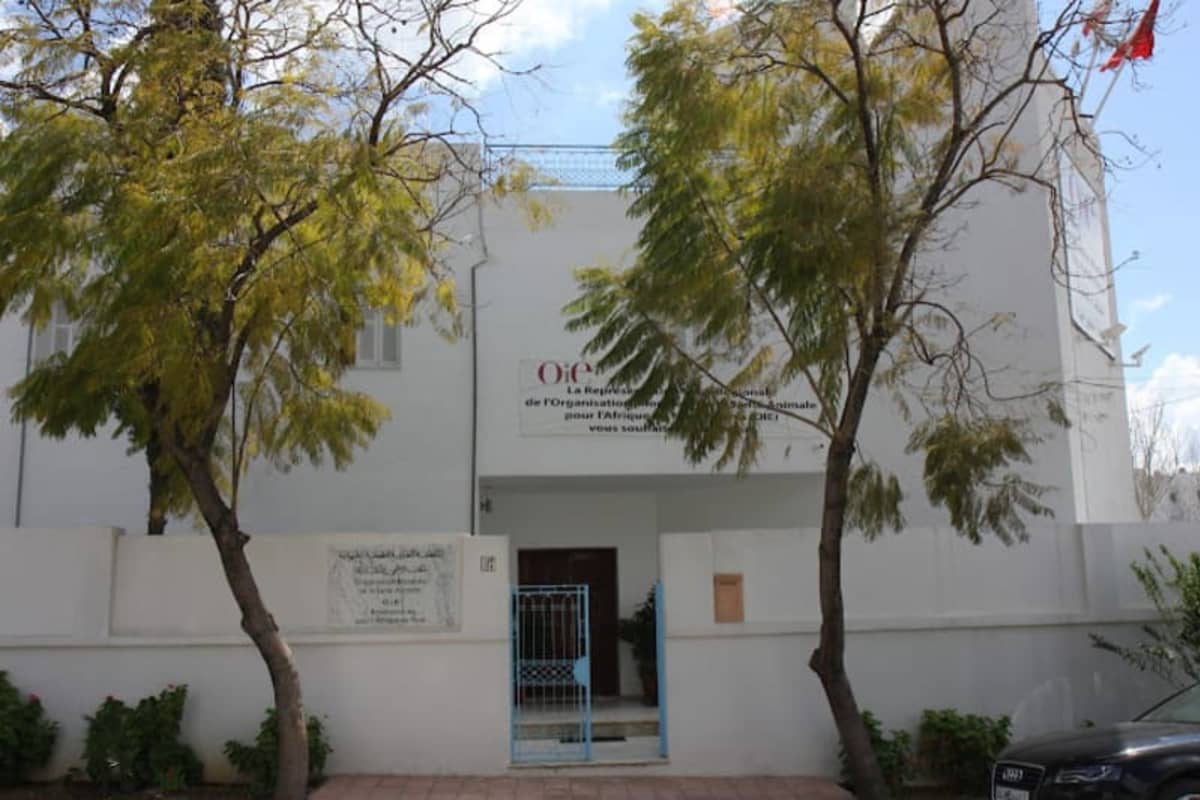 Organisation mondiale de la santé animale (OMSA) AN