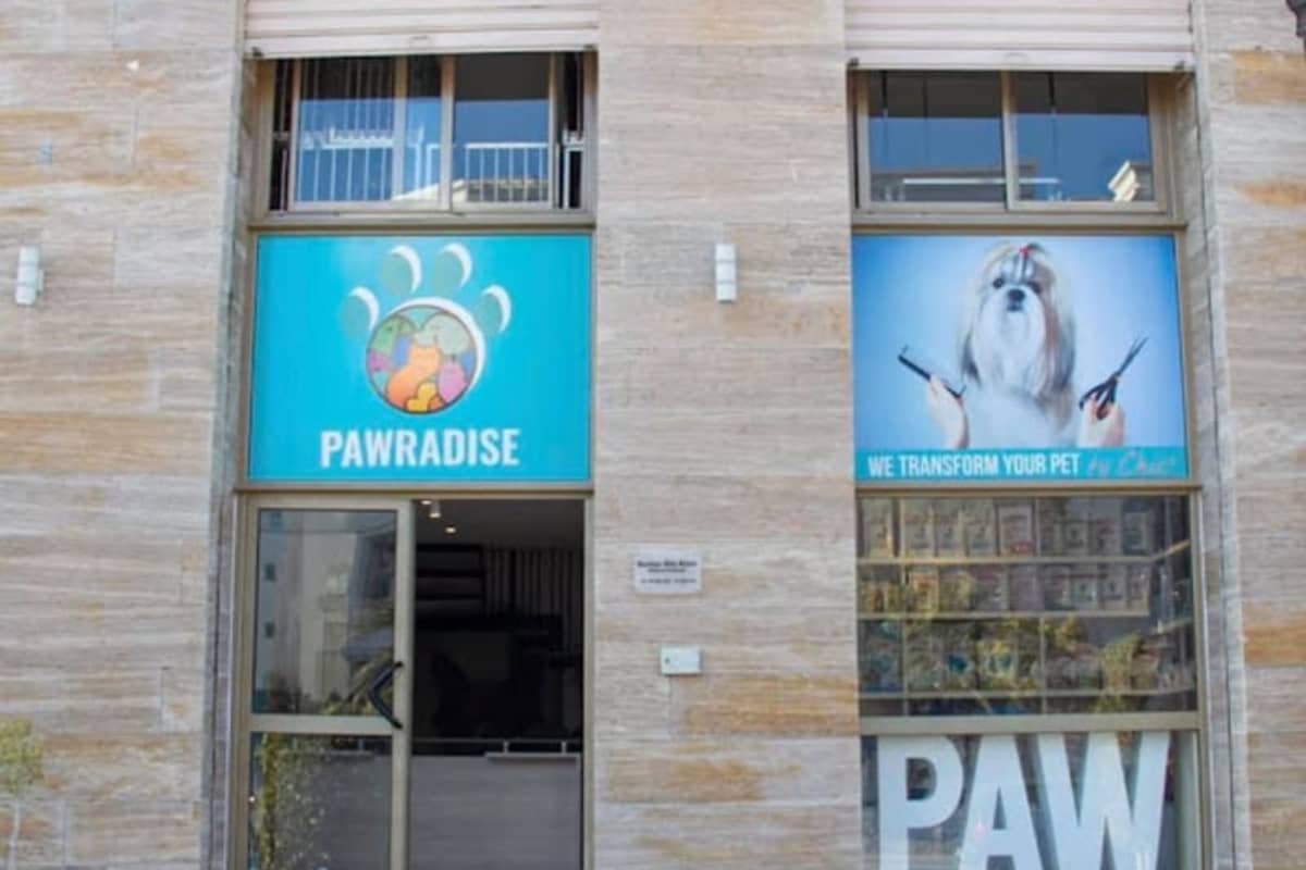 Clinique PAWradise