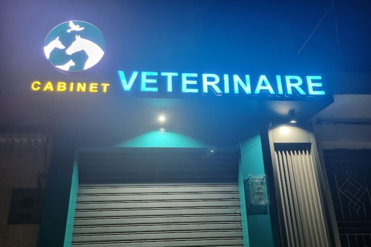 Cabinet Vétérinaire OUED ELLIL