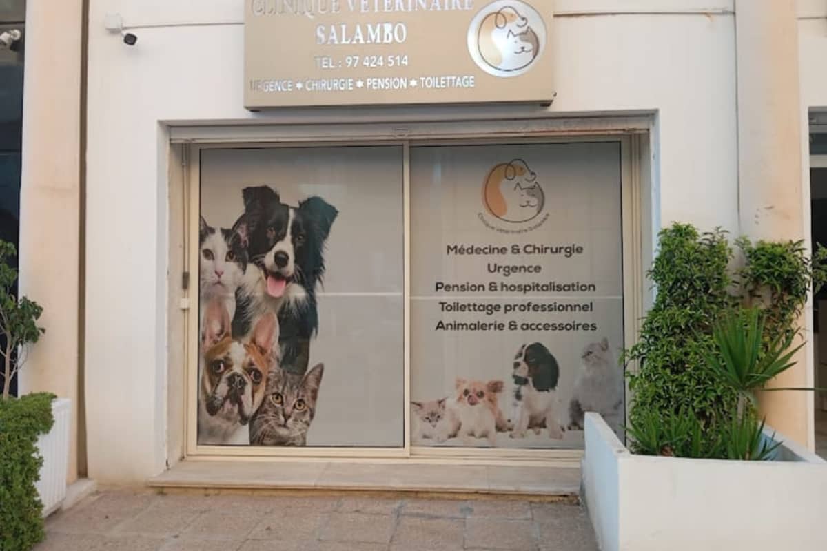 Clinique vétérinaire Salambo