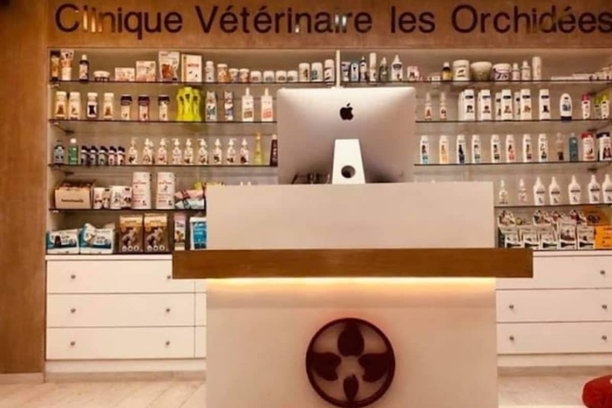 Clinique Vétérinaire Les Orchidées Sahloul 3 Sousse: Dr Chahrazed Acheche Kenani