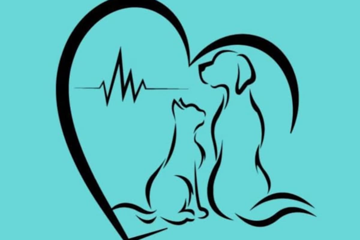 Vetcare la corniche Dr BEN FREDJ’S