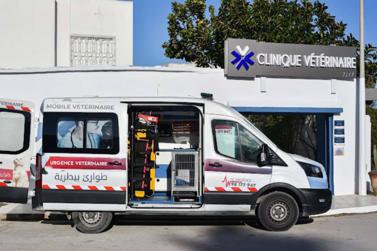 VETS Clinique vétérinaire La Marsa