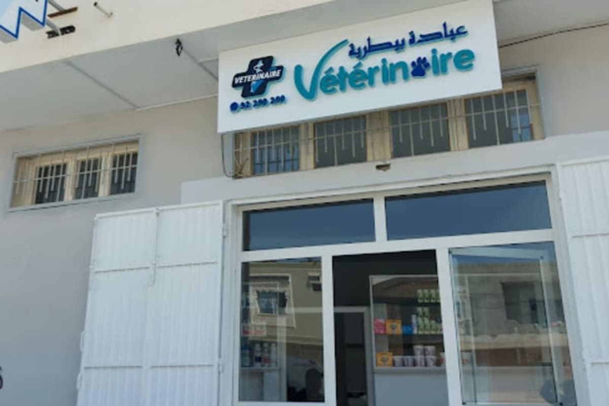 veterinaire kairouan | Rahma saddem