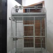 disponible grand Cage perroquet neuf
