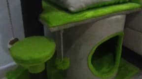 Arbre de chat sur commande