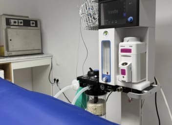 Aura clinique vétérinaire Hammamet - Photo 6