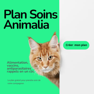 Plan Soins Animalia - Calculateur nutritionnel gratuit