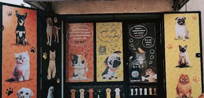 Pēt Me Plus Animalerie 7/7