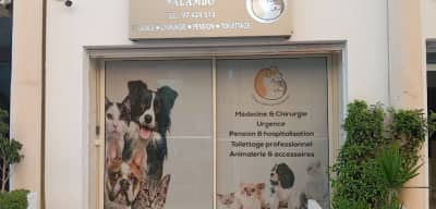 Clinique vétérinaire Salambo