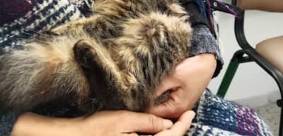 Clinique vétérinaire Cl VetCare Mourouj 4