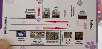 Pet care clinique vétérinaire