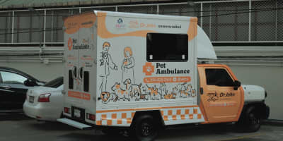 Soins d'Urgence Vétérinaire en Tunisie : Guide Complet 2026