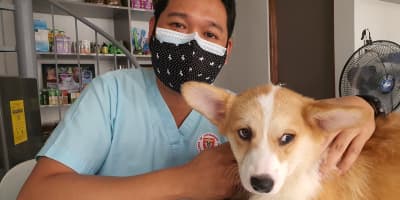 Clinique Vétérinaire Tunis : Guide Complet des Meilleurs Soins 2026