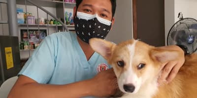 Le Piki Noir : Guide Complet pour Protéger Vos Animaux en Tunisie