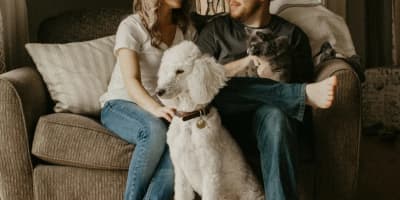 Adoption d'Animaux de Compagnie Près de Chez Moi en Tunisie | Animalia.tn