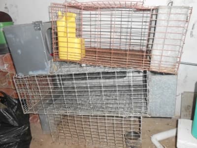 cages lapins