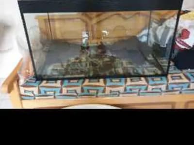 aquarium 300L + accessories